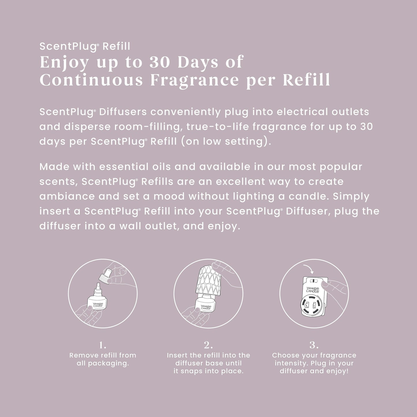 Dried Lavender & Oak ScentPlug® Refill