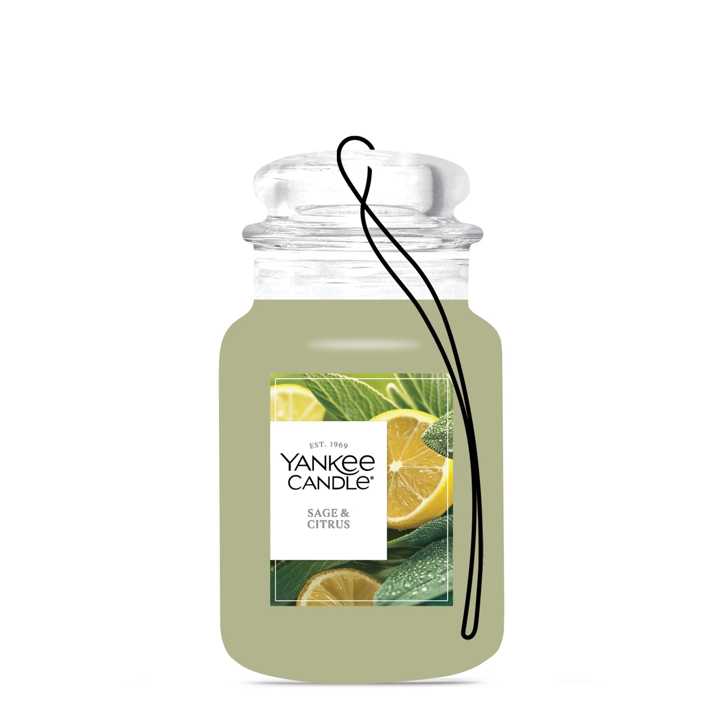 Sage & Citrus Studio 8-0208